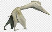 Dhw8dhdh8edhuehduehduehduehff