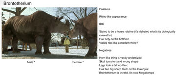 DinoDana BrontotherProfile