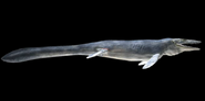 Tylosaurus