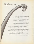 5 54 52 scan174541542.jpg (543 KB)