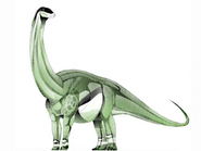 Kotasaurus