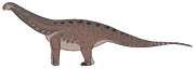 Igai semkhu reconstruction