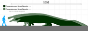 Purussaurus brasilienses Scale