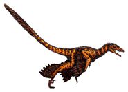 Sinornithosaurus (flipped)