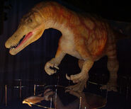 A fully reconstructed Baryonyx Model replica