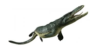 Tylosaurus