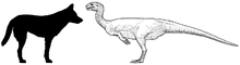220px-Chilesaurus diagram.png