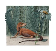 Illustration of Kongonaphon kely.png (3.6 MB)