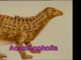 Acanthopholis