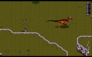 Gallimimus or Pachycephalosaurus
