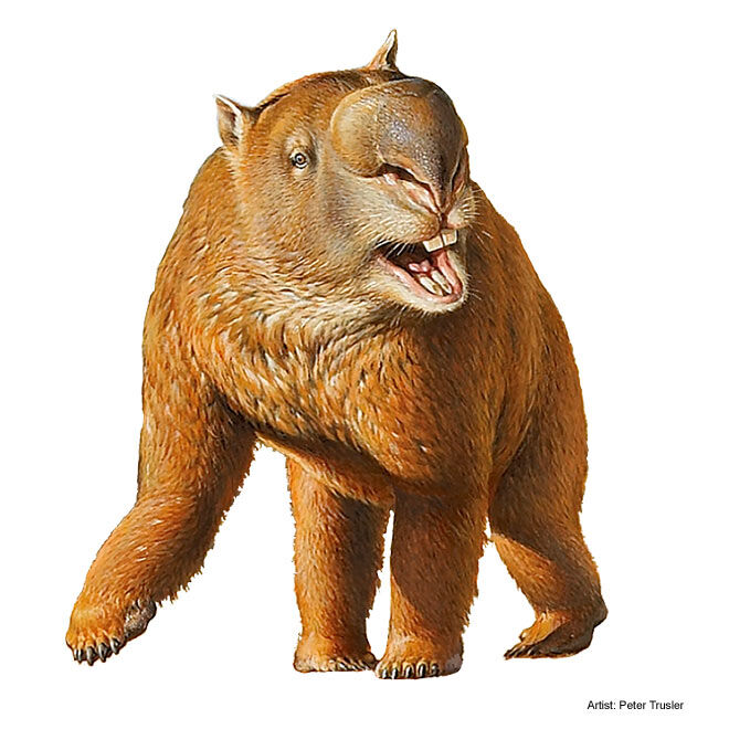 Extinct Australian megafauna | Dinopedia | Fandom