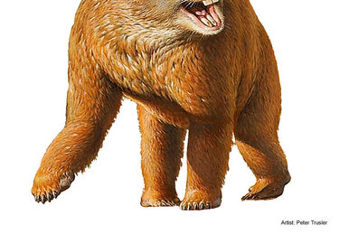 Deinotherium, Dinopedia