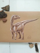 D4d47vkW4AAg5vL.jpg (132 KB)