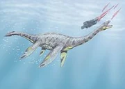 Artists impression of Seeleyosaurus