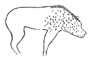 Crocuta crocuta cave art - Chauvet cave