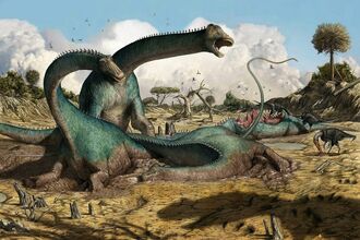 Kaatedocus-siberi-Group.jpg