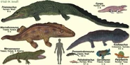 Temnospondyls.jpg (113 KB)