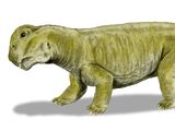 Lystrosaurus