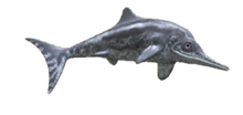960789E1-0DBE-40B6-B112-0407246DA2E1.png