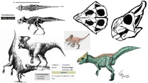 Graciliceratops illustrations