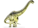 Aegyptosaurus