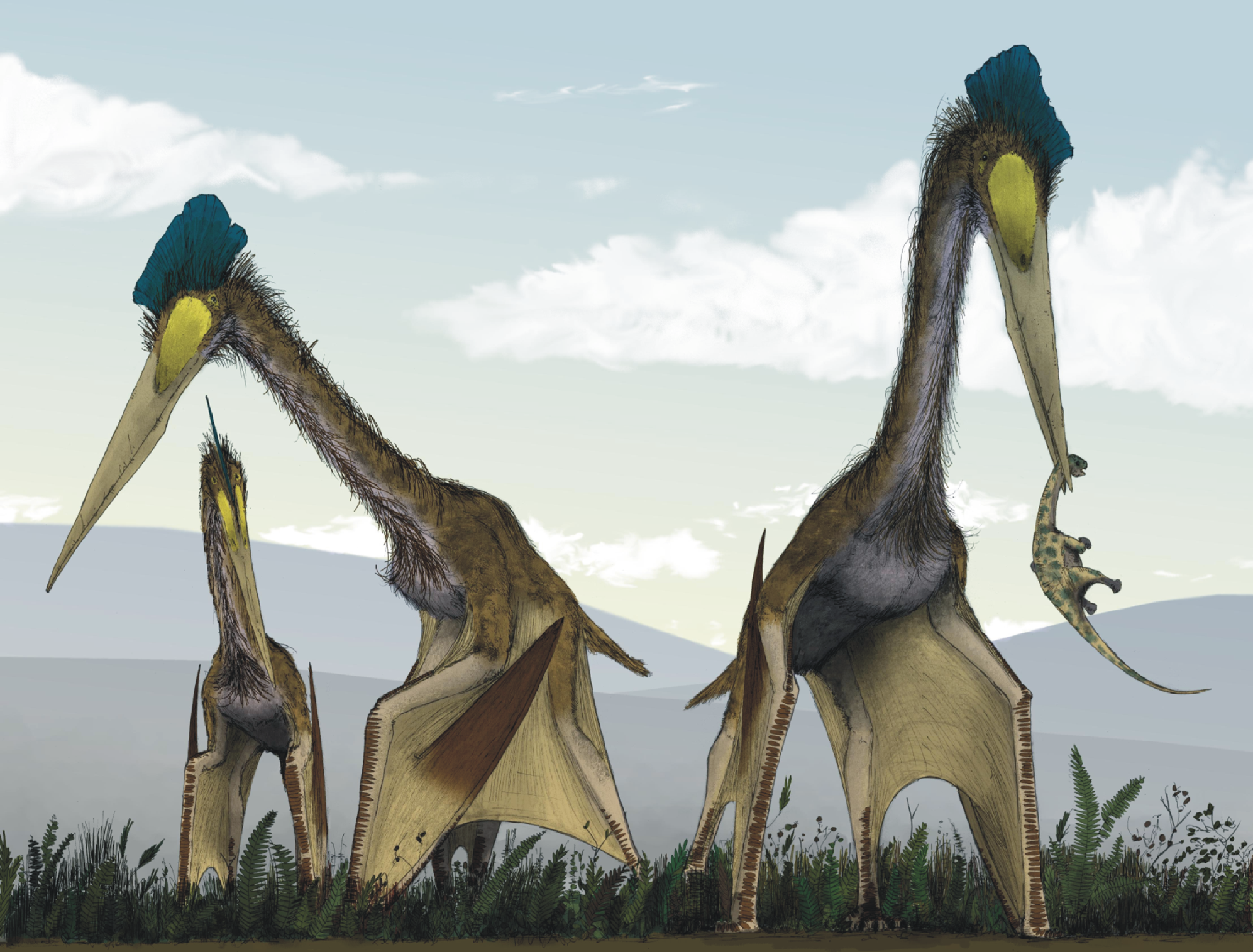 Quetzalcoatlus, Dinopedia