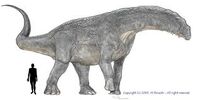 Titanosaurus size comparison