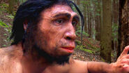 Homo erectus.