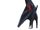Palaeocursornis