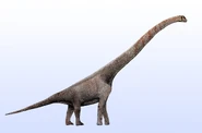 Ruixinia by Levi Bernado