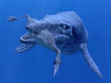 Tylosaurus