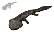 Koolasuchus-0