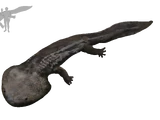 Koolasuchus
