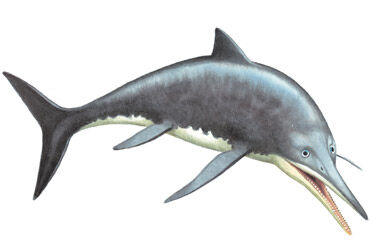 Barracudasaurus.jpg