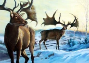 Dce39d4865f081ed14207744086f4432.jpg (86 KB) Dce39d4865f081ed14207744086f4432