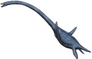 Elasmosaurus sp by ashere-d5i4md1