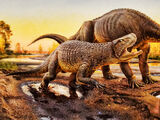 Fasolasuchus