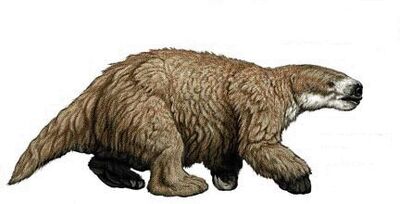 Glossotherium.jpg