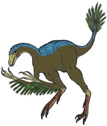 Protarchaeopteryx