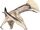 Aymberedactylus