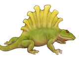 Platyhystrix