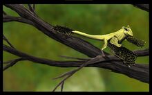 Scansoriopteryx heilmanni by vasix-d6c89ib b9d0.jpg