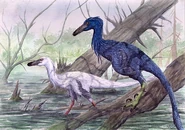 Unenlagia by Christopher DiPiazza.jpg (53 KB) A pair of Unenlagia by Christopher DiPIazza