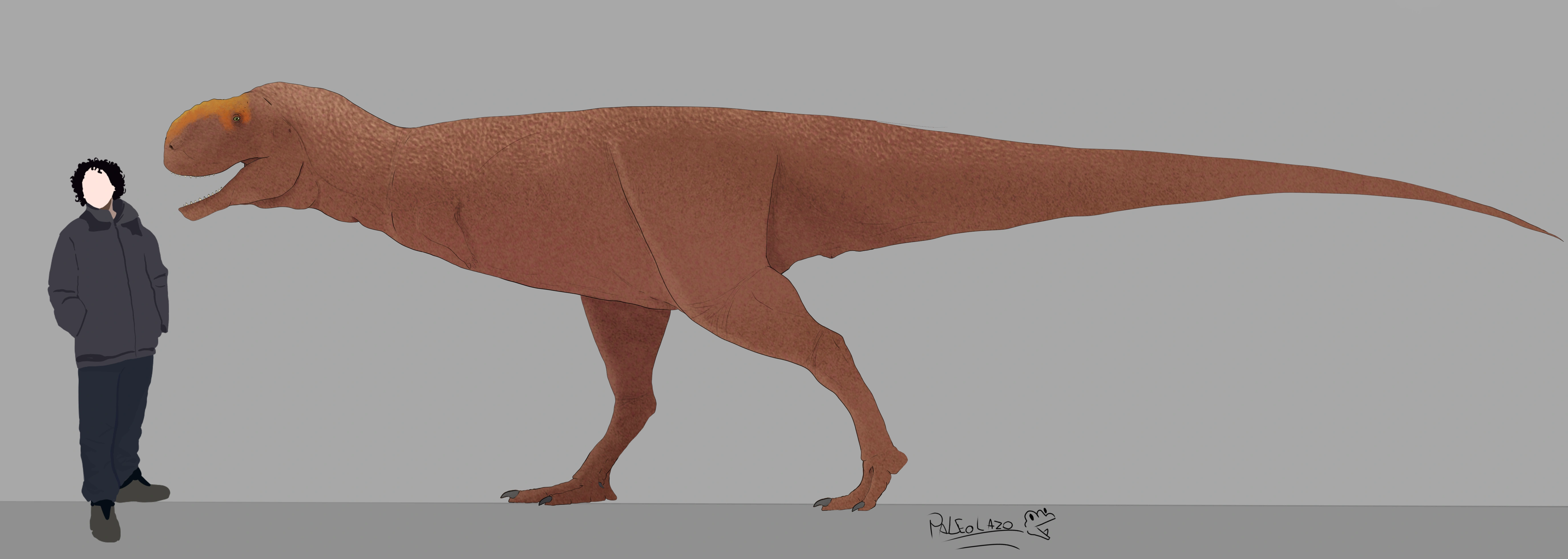 Xenotarsosaurus | Dinopedia | Fandom, image size:5496x1960