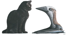 Hornby-azhdarchoid-2016 RBCM.EH.2009.019.0001