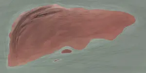 the First Outdated Map