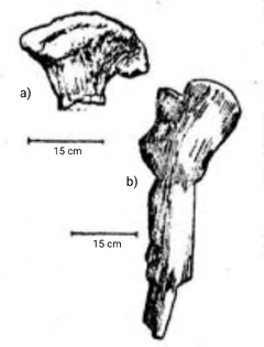 Dandakosaurus fossils