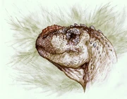 , a relatively small abelisaur found in the Huincul Formation.