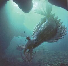 Anomalocaris