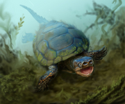 Art depiction of Arvinachelys goldeni